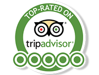 tripadvisor