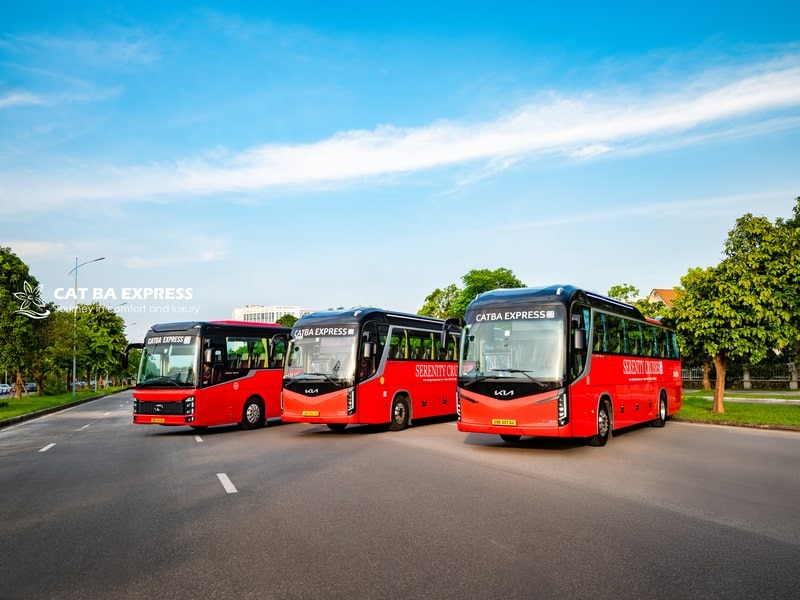 Cat Ba Express Bus – The Fastest & Most Comfortable Way to Reach Cat Ba Island