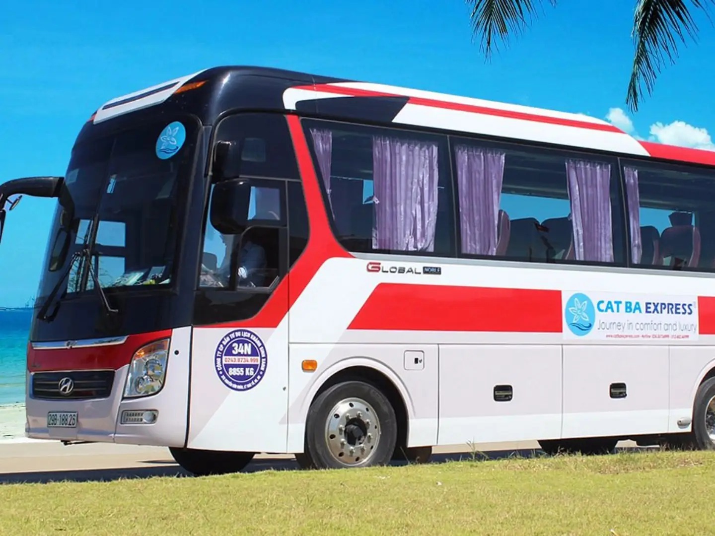 Halong Bay Tour from Hanoi vs Traveling Independently: Which is Better? (Using Cat Ba Express Bus)